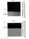 Fig. 03 - Cell for solid oxide fuel cell and method for manufacturing same