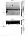 Fig. 04 - Cell for solid oxide fuel cell and method for manufacturing same