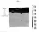 Fig. 05 - Cell for solid oxide fuel cell and method for manufacturing same