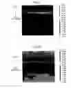 Fig. 15 - Cell for solid oxide fuel cell and method for manufacturing same