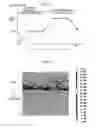 Fig. 20 - Cell for solid oxide fuel cell and method for manufacturing same