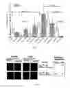 Fig. 05 - Materials and Methods for the Detection, Prevention and Treatment of Autoimmune Disease