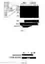 Fig. 13 - Materials and Methods for the Detection, Prevention and Treatment of Autoimmune Disease