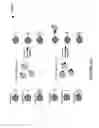 Fig. 06 - Multiple analysis of blood samples