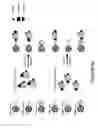 Fig. 07 - Multiple analysis of blood samples
