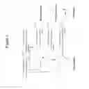Fig. 04 - PRODUCTION OF ISOPRENOIDS