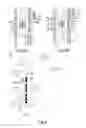 Fig. 04 - Flow cytometer having cell-sorting function and method of separating living cells