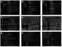 Fig. 01 - TRANSGENIC ONCOLYTIC VIRUSES AND USES THEREOF