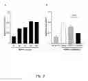 Fig. 04 - TRANSGENIC ONCOLYTIC VIRUSES AND USES THEREOF