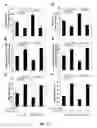 Fig. 16 - TRANSGENIC ONCOLYTIC VIRUSES AND USES THEREOF