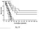 Fig. 22 - TRANSGENIC ONCOLYTIC VIRUSES AND USES THEREOF
