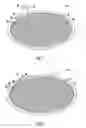 Fig. 06 - TISSUE CULTURE DEVICE
