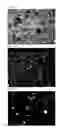 Fig. 07 - Proliferation culture methods using micro-scaffolds for regulations of cell-to-cell signals