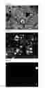Fig. 09 - Proliferation culture methods using micro-scaffolds for regulations of cell-to-cell signals