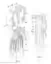 Fig. 02 - Electrical connector and terminal structure thereof