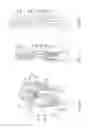 Fig. 07 - Electrical connector and terminal structure thereof