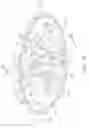 Fig. 13 - Golf club head with variable face thickness