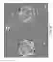 Fig. 10 - CELL PATTERN AND METHOD FOR PRODUCING THE SAME