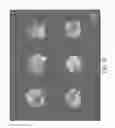 Fig. 17 - CELL PATTERN AND METHOD FOR PRODUCING THE SAME