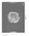 Fig. 23 - CELL PATTERN AND METHOD FOR PRODUCING THE SAME