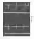 Fig. 34 - CELL PATTERN AND METHOD FOR PRODUCING THE SAME
