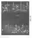 Fig. 35 - CELL PATTERN AND METHOD FOR PRODUCING THE SAME
