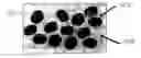 Fig. 01 - Filled Systems From Biphasic Fluids