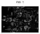 Fig. 02 - COATING COMPOSITION FOR PROPPANT AND THE METHOD OF MAKING THE SAME