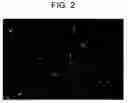 Fig. 03 - COATING COMPOSITION FOR PROPPANT AND THE METHOD OF MAKING THE SAME