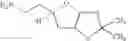 Fig. 22 - Furanose derivatives