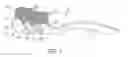 Fig. 02 - Oral care implement