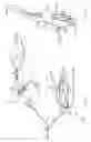 Fig. 02 - Weedless fishing lure containing multiple hooks