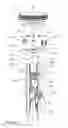 Fig. 09 - Scotch yoke engine or pump