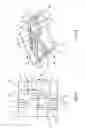 Fig. 09 - Internal combustion engine valve drive train switching arrangement