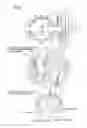 Fig. 09 - Cat-and-mouse type internal combustion engine, and its correlation type crank