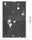 Fig. 02 - Aluminum alloy