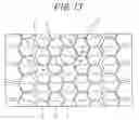 Fig. 10 - Tire having rows of block land portions, lateral grooves and at least three circumferential grooves