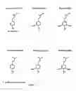 Fig. 08 - GLUCOSYLTRANSFERASES