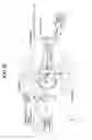 Fig. 16 - Extreme ultraviolet light source apparatus