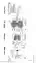Fig. 46 - Extreme ultraviolet light source apparatus
