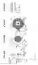 Fig. 48 - Extreme ultraviolet light source apparatus