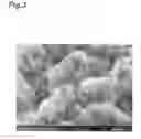 Fig. 04 - Method for producing active material and electrode, active material, and electrode