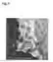 Fig. 06 - Method for producing active material and electrode, active material, and electrode