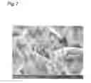 Fig. 08 - Method for producing active material and electrode, active material, and electrode