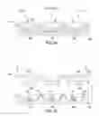 Fig. 09 - LIGHT EMITTING DEVICES WITH PHOSPHOR WAVELENGTH CONVERSION AND METHODS OF MANUFACTURE THEREOF