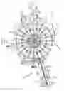 Fig. 06 - Star distributor