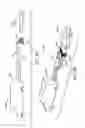 Fig. 05 - Collision Barrier Device For Projecting Loads