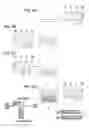 Fig. 07 - Liquid ejecting apparatus and liquid ejecting method