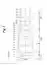 Fig. 04 - Immersion microscope objective lens