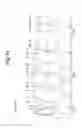 Fig. 12 - Immersion microscope objective lens
